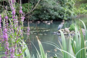 Kelvin Art and Gallery Photographs 3 MG 4680