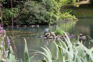 Kelvin Art and Gallery Photographs 7 MG 4683