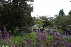 Kelvin Art and Gallery Photographs 9 MG 4685