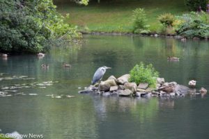 Kelvin Art and Gallery Photographs 11 MG 4686