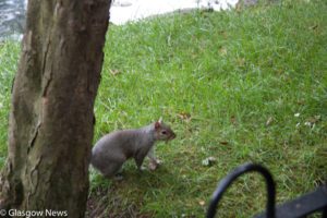 Kelvin Art and Gallery Photographs 10 MG 4687