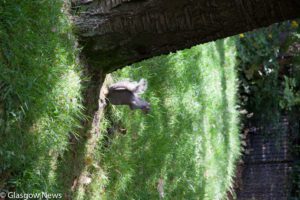 Kelvin Art and Gallery Photographs 2 MG 4691