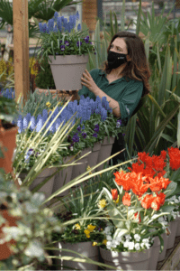 Dobbies Garden Centre