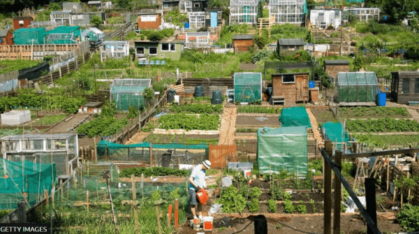 Allotment Rent Increase