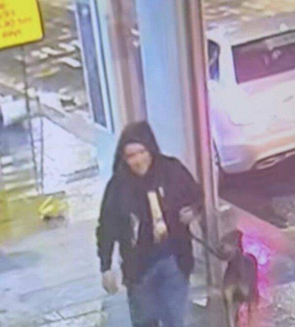 StolenDoberman e1682348230659