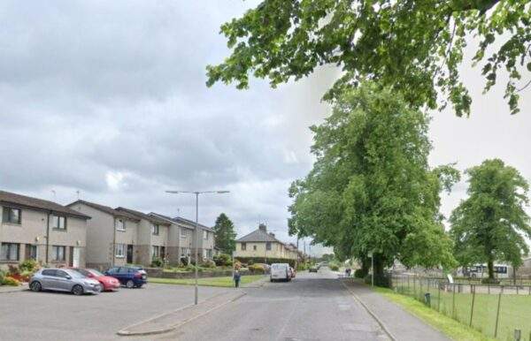 Bus Crash Alexandra Drive