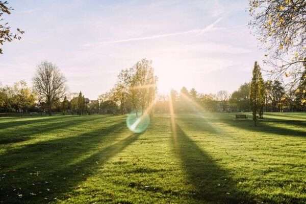 Living in certain areas 'reduces risk of painful disease', says new study