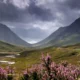 glencoe nnr o