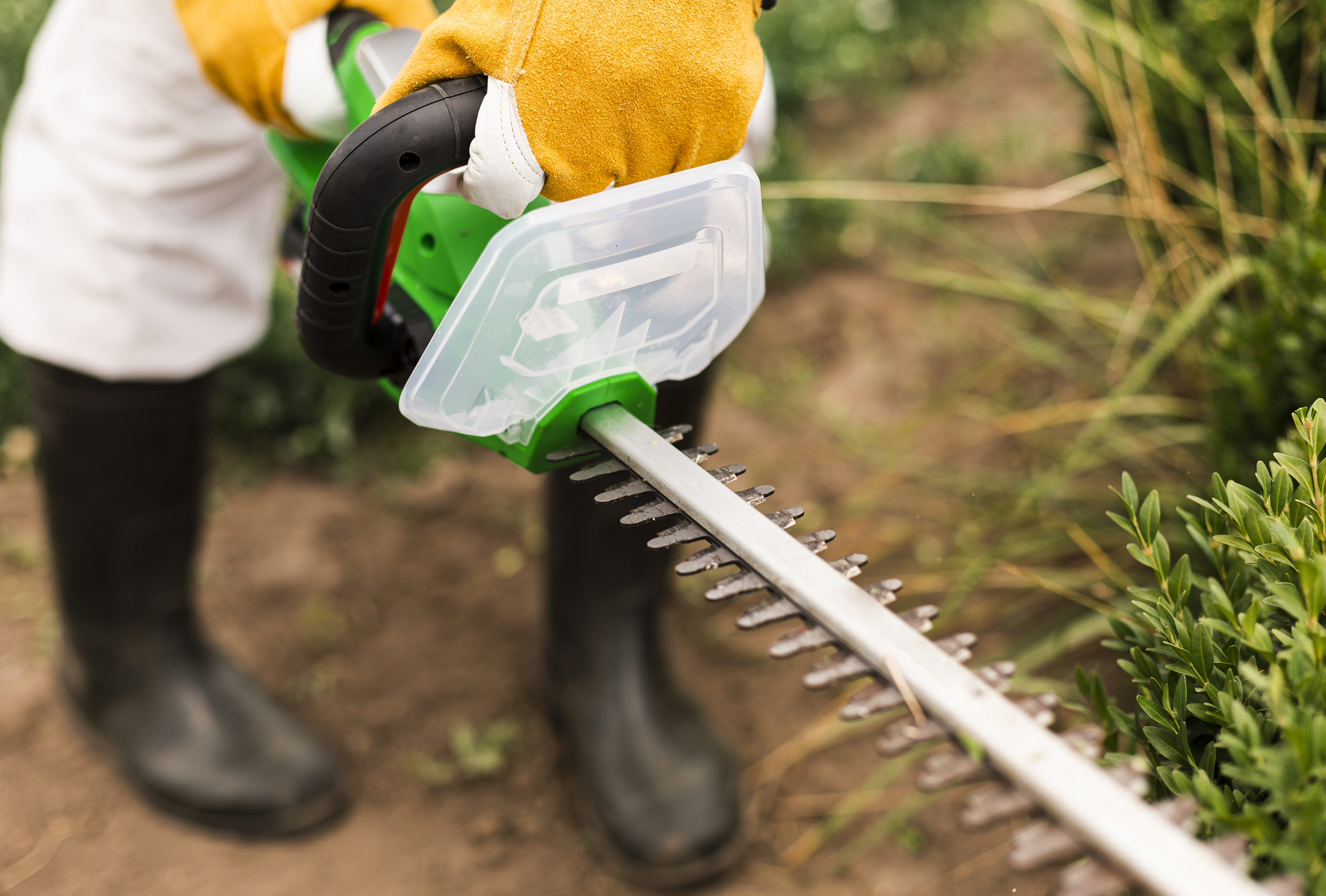 Glasgow Allotments 2026: Waiting Lists, Costs & Apply 2 Trimming a garden hedge
