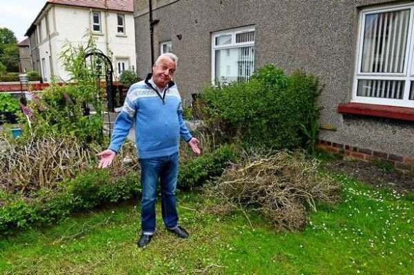 Tory councillor rips out autistic neighbour’s prized hedge despite pleas to stop