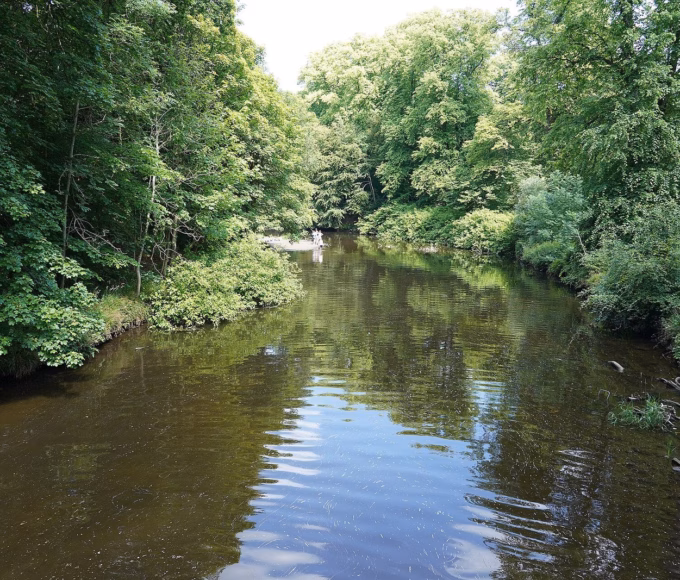 The White Cart Water running between trees at Cathcart